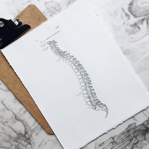 What are the differences between complete and incomplete spinal cord injury? Click to find out more in this article at Aspire Law.