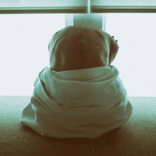 Types of Spinal Cord Injury - What to Know | Aspire Law